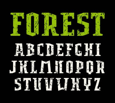 serif yazı tipi spor tarzı 