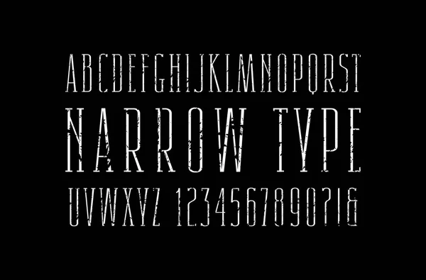 Narrow serif font. Thin line typeface — Stock Vector