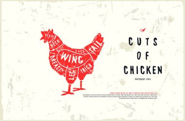 Hisse senedi vektör tavuk kesim diyagramı el yapımı grafik tarzı