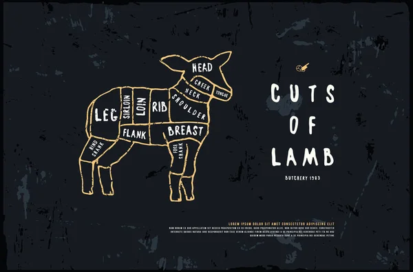 stock vector Stock vector lamb cuts diagram in the style of handmade graphics