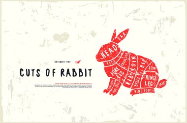 Hisse senedi vektör tavşan diyagramı el yapımı grafiği tarzında keser.