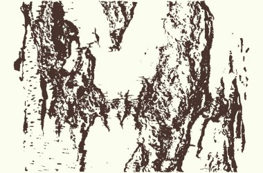 Huş kabuğu dokusuna kontrast