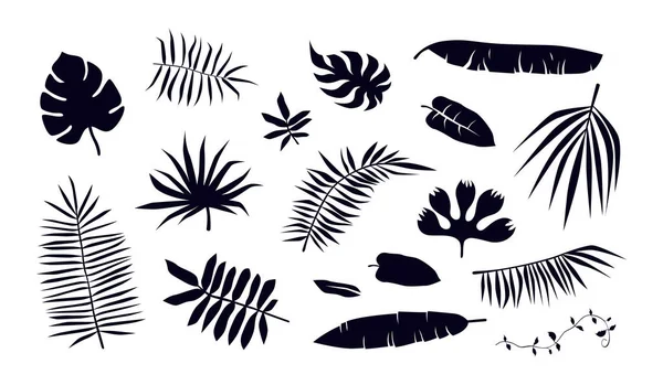 Tropik bitki yaprağı siluetleri stok vektör seti. Beyaz arkaplanda siyah baskı