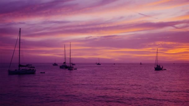 Łodzie żaglowe zaparkowane nad morzem po zachodzie słońca — Wideo stockowe