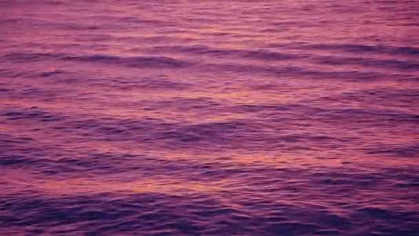 Ondulation vagues reflètent le ciel violet post-coucher de soleil — Video