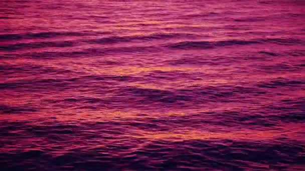 Κύματα κυματισμού που αντανακλούν ροζ λάμψη μετά το ηλιοβασίλεμα — Αρχείο Βίντεο