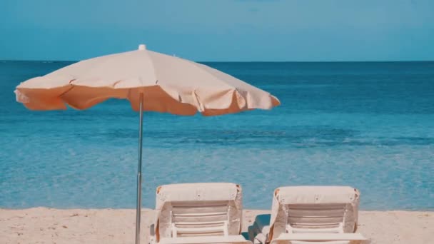 Лежаки, приготовленные для туристов на чистом пляже — стоковое видео