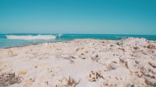 Zomer dag op Formentera strand — Stockvideo