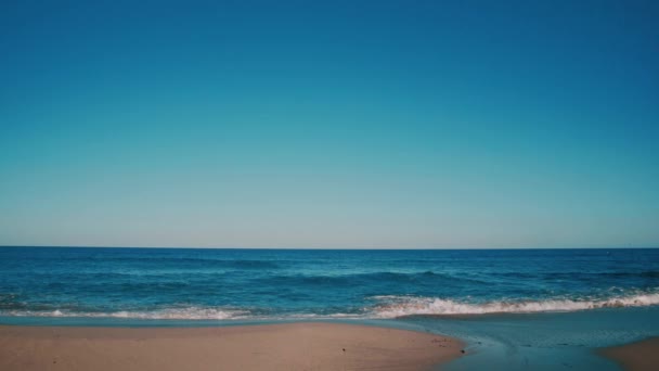 Clean tropical beach washed by teal sea — Stock Video