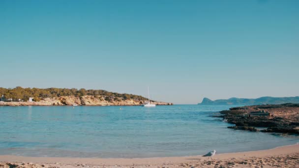 Cala Bassa playa Ibiza isla día de verano — Vídeos de Stock