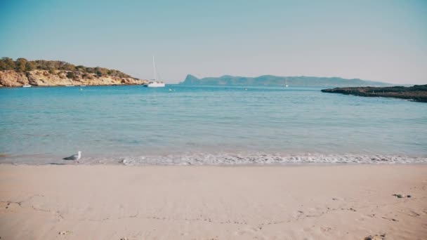 Cala Bassa strand Ibiza sziget egy nyári napon — Stock videók