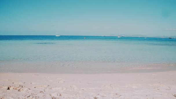 Paradise praia com água do mar transparente — Vídeo de Stock