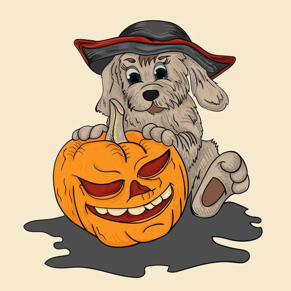 Chien dans un chapeau de pirate tient une citrouille pour Halloween — Image vectorielle