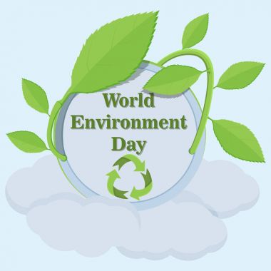 circular_4_sticker asma yaprağı, dünya sembolü örgülü