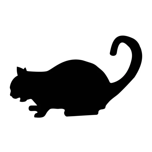 Silueta de gato negro sobre fondo blanco — Vector de stock