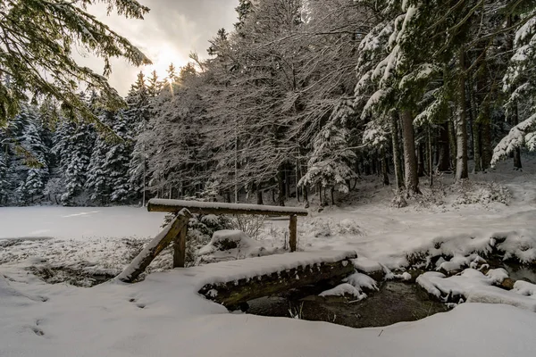 Prachtige winterwandeling van Restaurant Eggli over de Forstseeli en Diepoldsauer spons naar de Faehnerenspitz in het Appenzeller Land in Zwitserland — Stockfoto