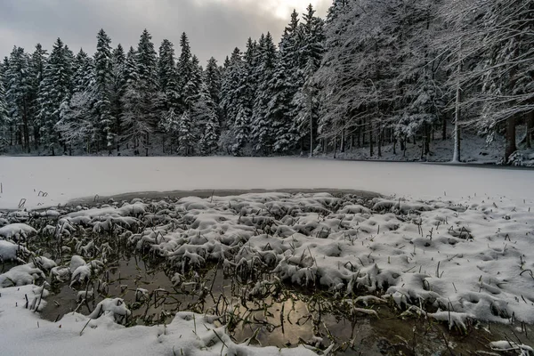 Wunderschöne winterwanderung vom restaurant eggli über den forstseeli und diepoldsauer schwamm zum faehnerenspitz im appenzeller land in der schweiz — Stockfoto