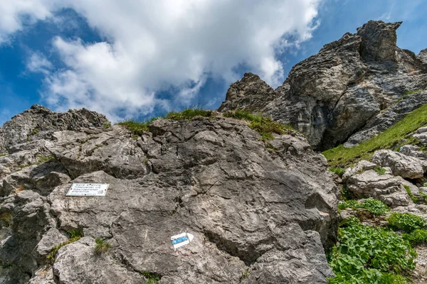 Randonnée en montagne sur le Grand Widderstein dans les Alpes Allgaeu — Photo