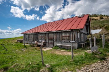 Allgau 'daki güneşe muhteşem bir yürüyüş.