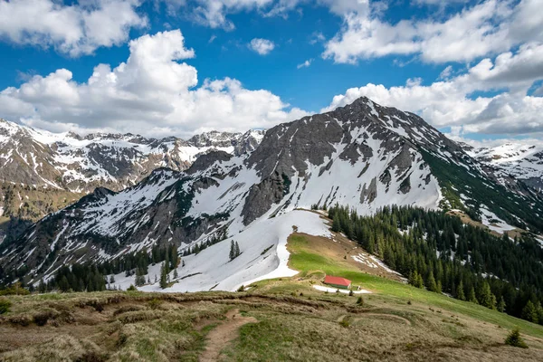 Fantastic hike to the sun heads in the Allgau — Stock Photo, Image