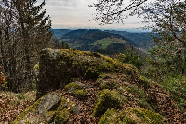 Túrázás a Belchen gyönyörű Schonau a Fekete-erdőben — Stock Fotó