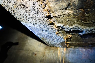 Almanya 'da Kayıp Yerler