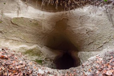 2. Dünya Savaşı 'nda Yukarı Bataklık' ta çiftçiler ve sivillerden kalma birkaç eski tünel keşfettik..