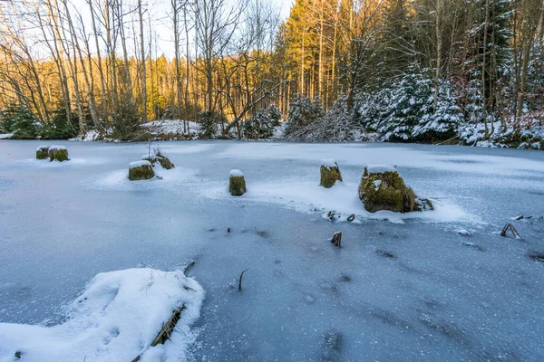 太陽の光で美しい雪の冬の不思議の国の森からの印象 — ストック写真