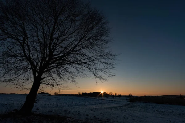 Impressionen Aus Einem Wunderschönen Verschneiten Winterwunderwald Mit Sonnenstrahlen — Stockfoto