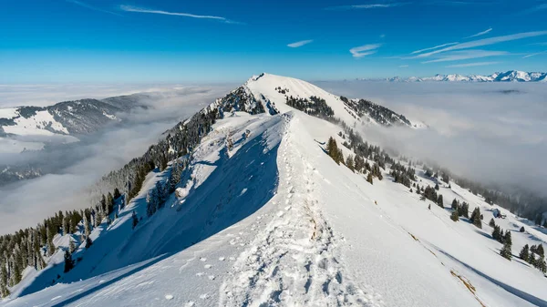 Traumhafte Schneeschuhtour Auf Den Hochgrat Der Nagelfluhkette Allgäu — Stockfoto