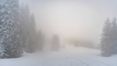 Allgau, Bavyera 'daki Nagelfluhkette Hochgrat' ta harika bir kar ayakkabısı turu.