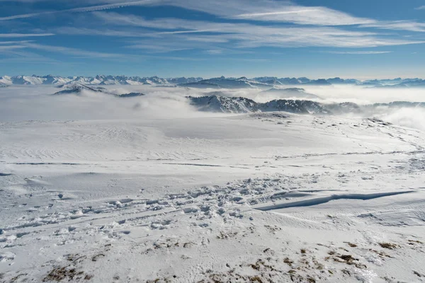 Traumhafte Schneeschuhtour Auf Den Hochgrat Der Nagelfluhkette Allgäu — Stockfoto