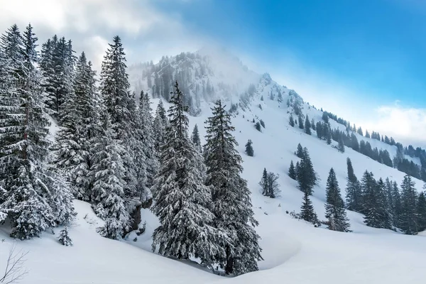 Fantastico Tour Con Ciaspole Sull Hochgrat Nagelfluhkette Allgau Baviera — Foto Stock