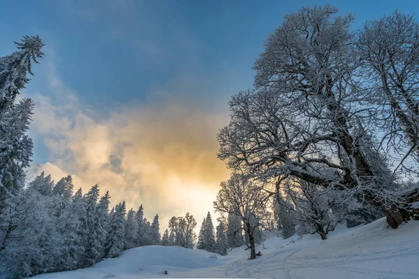 Fantastyczna Wycieczka Rakietami Śnieżnymi Hochgracie Nagelfluhkette Allgau Bawaria — Zdjęcie stockowe