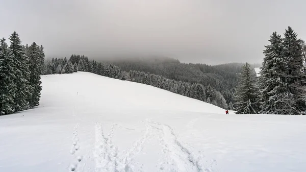 Snow shoe hike to the snow-covered Black Ridge near Isny in Allgau in winter