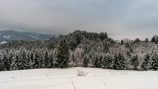 Snow shoe hike to the snow-covered Black Ridge near Isny in Allgau in winter