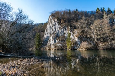 Tuna Vadisi 'ndeki güzel Tuna Vadisi' nde bahar yürüyüşü Kallenberg Kalesi yıkıntıları boyunca, Tuna Nehri üzerindeki Fridingen yakınlarındaki Bronnen Şatosu 'na.