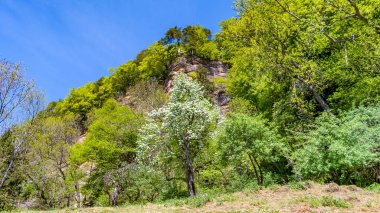 Bregenz 'de Constance Gölü yakınlarındaki Ferrata Kanzele' ye tırmanıyorum.