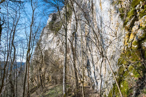 Randonnée Printanière Dans Belle Vallée Danube Long Des Ruines Château — Photo