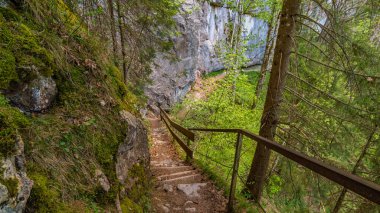 Burgberger Hornle ve Sonthofen, Immenstadt yakınlarındaki Starzlachklamm üzerinden Allgau 'da muhteşem bir yürüyüş.