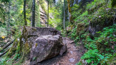Burgberger Hornle ve Sonthofen, Immenstadt yakınlarındaki Starzlachklamm üzerinden Allgau 'da muhteşem bir yürüyüş.