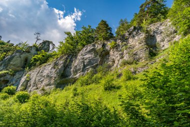 Barenthal yakınlarındaki Tuna vadisinde güzel bir yürüyüş.