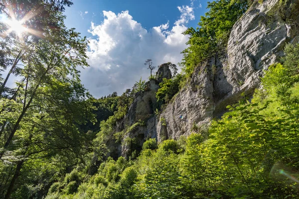 Beautiful hike in the Danube valley near Barenthal