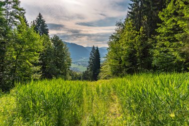 Allgau 'daki Immenstadt' ta gün doğumu yürüyüşü Nagelfluhkette 'deki Mittag zirvesine