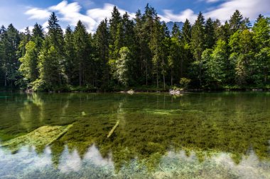 Tiran Zugspitze Arena 'daki güzel Eibsee' nin etrafında fantastik bir yürüyüş.