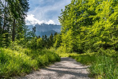 Tiran Zugspitze Arena 'daki güzel Eibsee' nin etrafında fantastik bir yürüyüş.