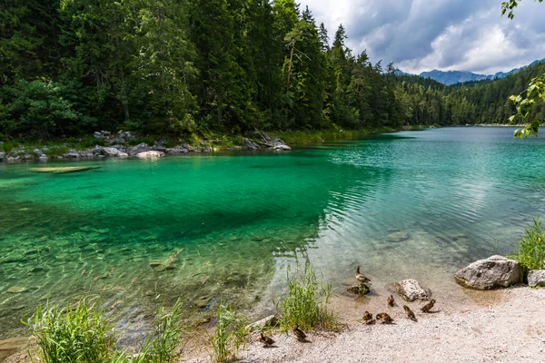 Fantasztikus Kerek Túra Gyönyörű Eibsee Körül Tiroler Zugspitze Arénában — Stock Fotó