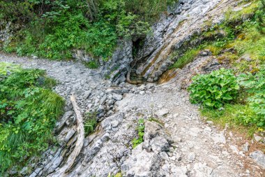Lachenspitze üzerinde dağ turu Ferrata üzerinden Lachenspitze 'ye. Vilsalpsee 'den Traualpsee ve Landsberger kulübesine doğru yükseldi.