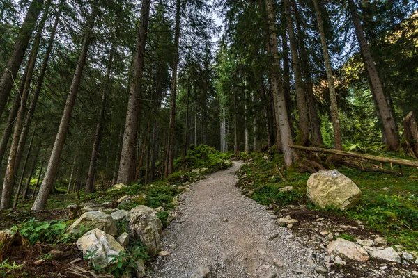 Horská Túra Přes Lachenspitze Sever Přes Ferrata Lachenspitze Stoupání Vilsalpsee — Stock fotografie