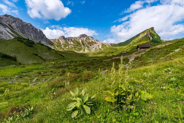 Περιήγηση Στο Βουνό Πάνω Από Βόρεια Πλευρά Lachenspitze Μέσω Ferrata — Φωτογραφία Αρχείου